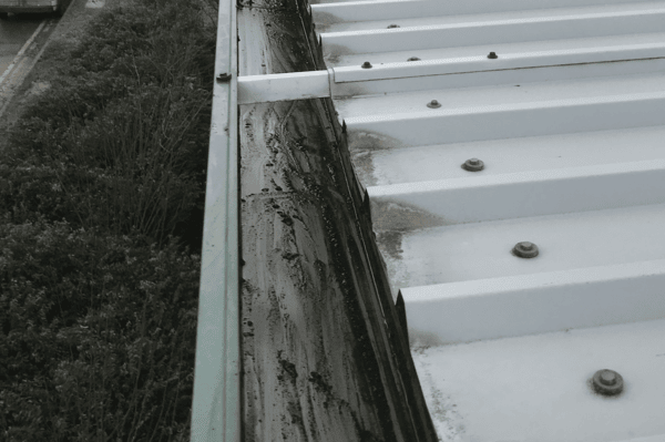 Commercial gutter cleaning specialists in Farnham
